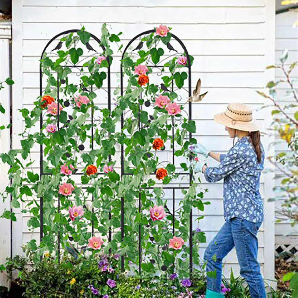 Metal Garden Trellis Climbing Plant Flower Screen Support Landscape Border