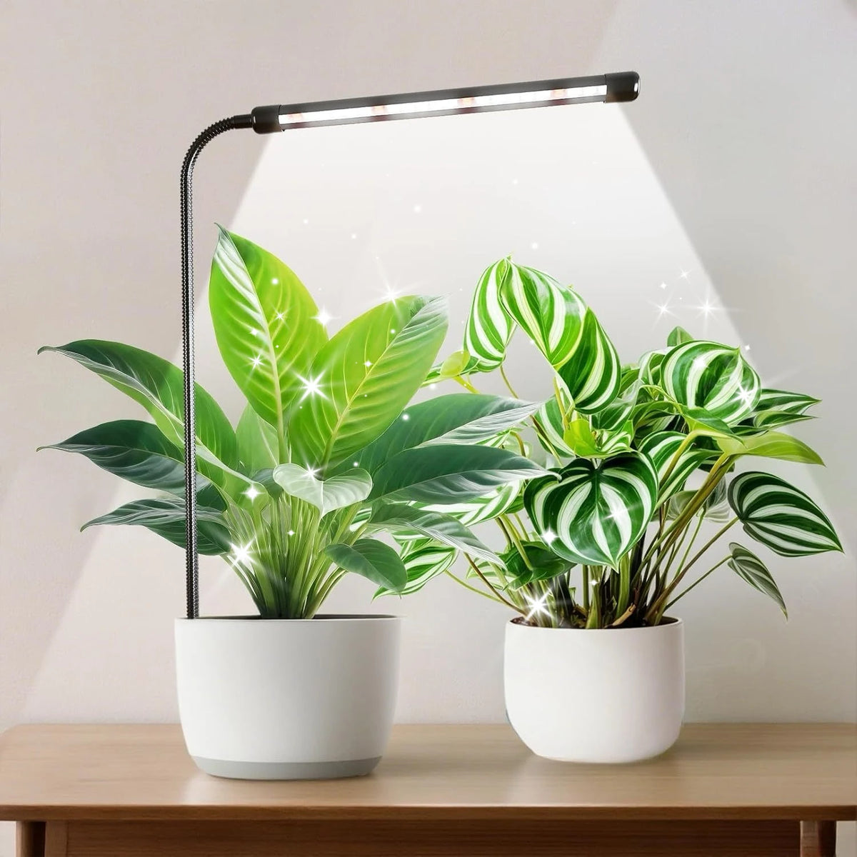 Dumiloo 48 LED Spectrum Grow Light With Timer