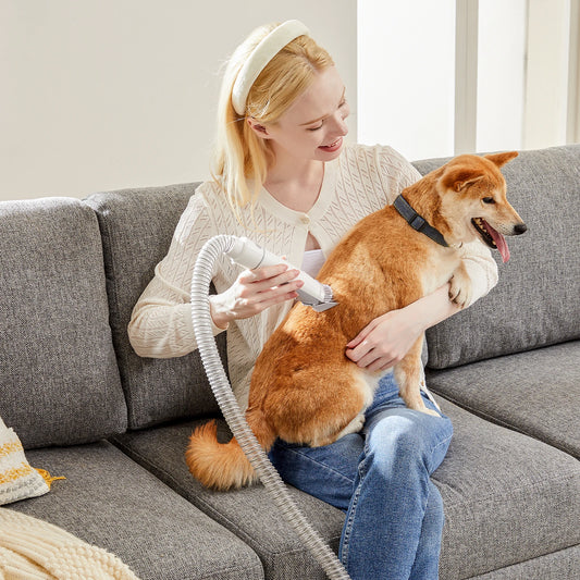 Pet Grooming Vacuum Kit With Cordless Low-Noise Clippers And Tools