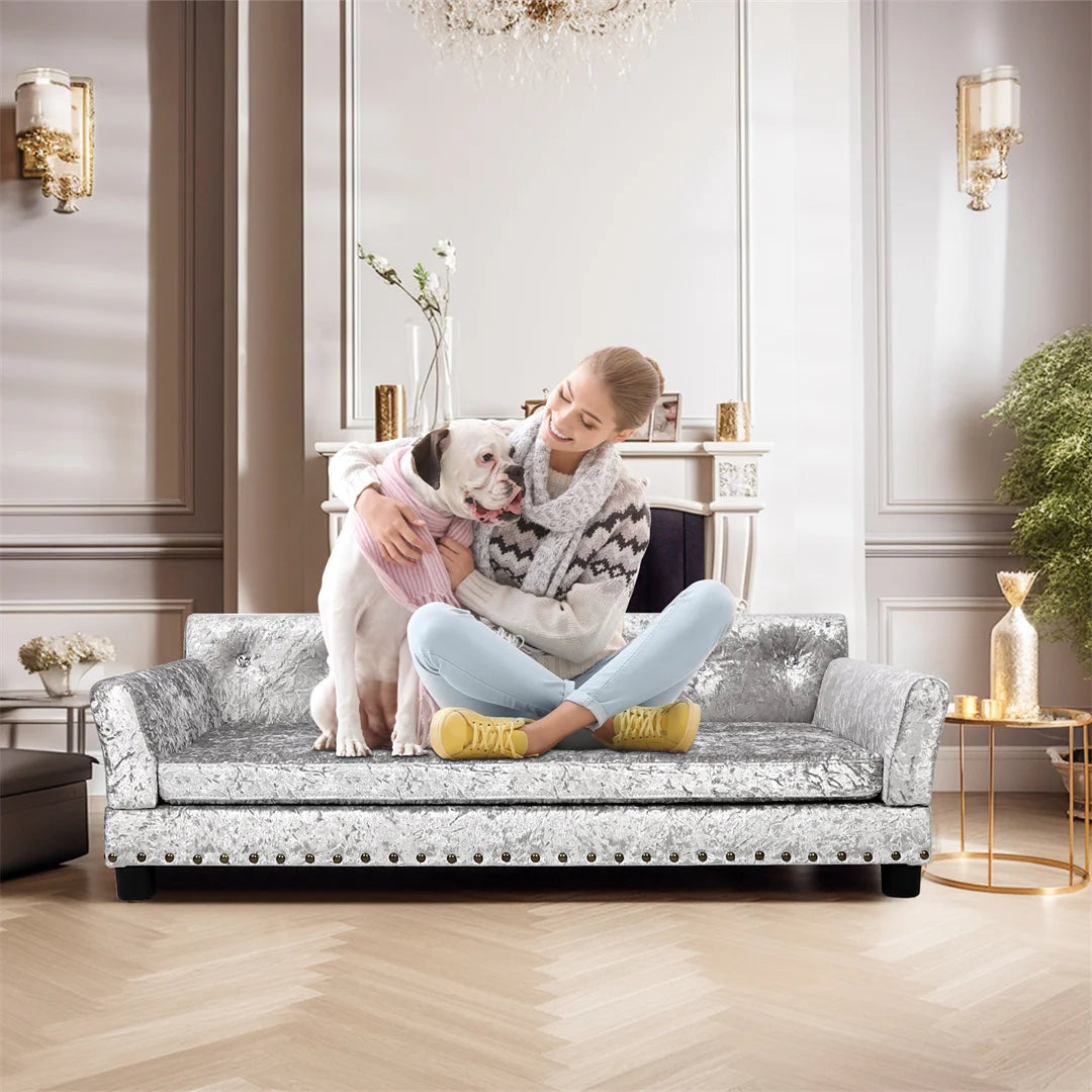 Bingopaw Deluxe Velvet Pet Sofa With Removable Cushion For Dogs