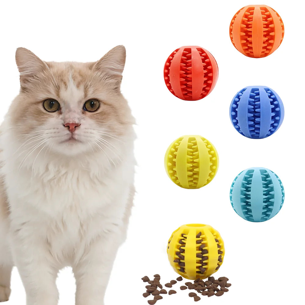 Interactive Rubber Dog Chew Ball Teething Puzzle Training Toy
