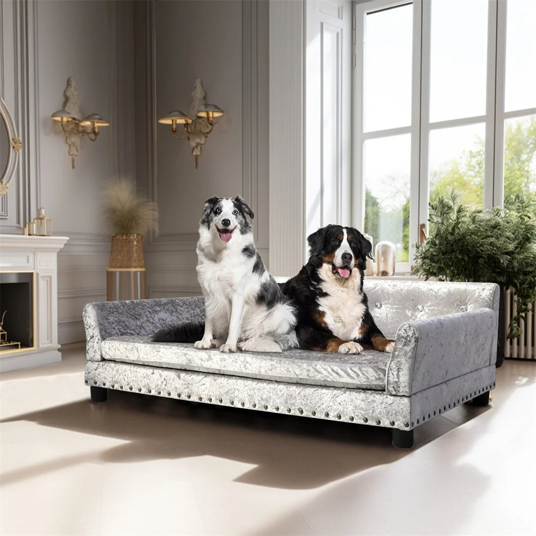 Bingopaw Deluxe Velvet Pet Sofa With Removable Cushion For Dogs