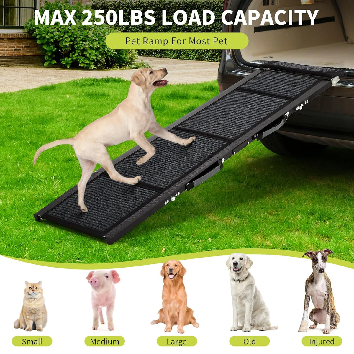 HiMISS Folding Dog Ramp Portable Non Slip Vehicle Pet Ramp