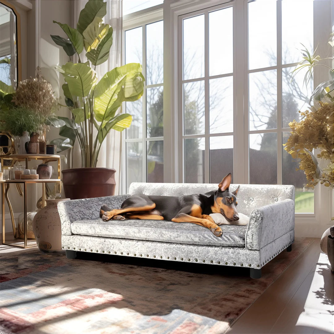 Bingopaw Deluxe Velvet Pet Sofa With Removable Cushion For Dogs