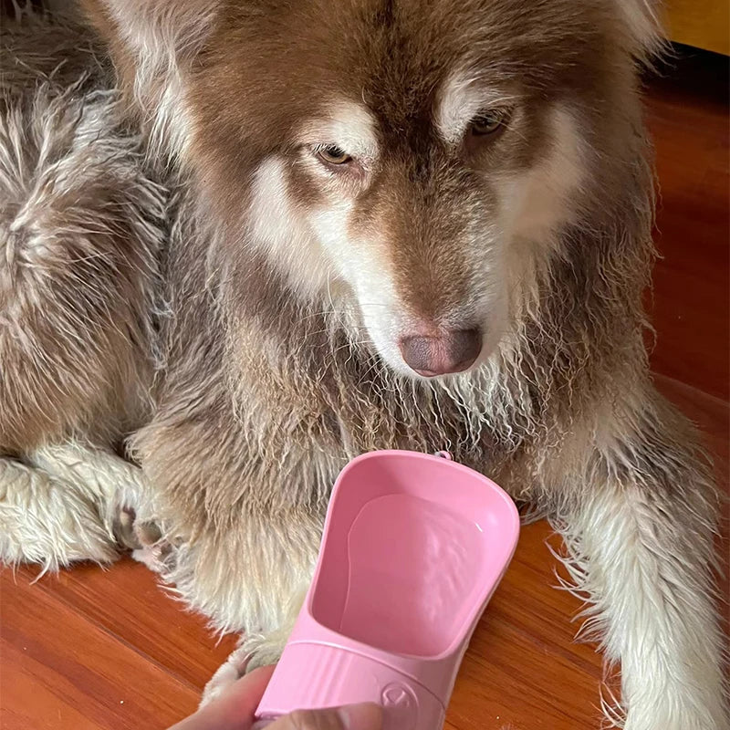 Portable Two In One Pet Water Bottle And Food Dispenser