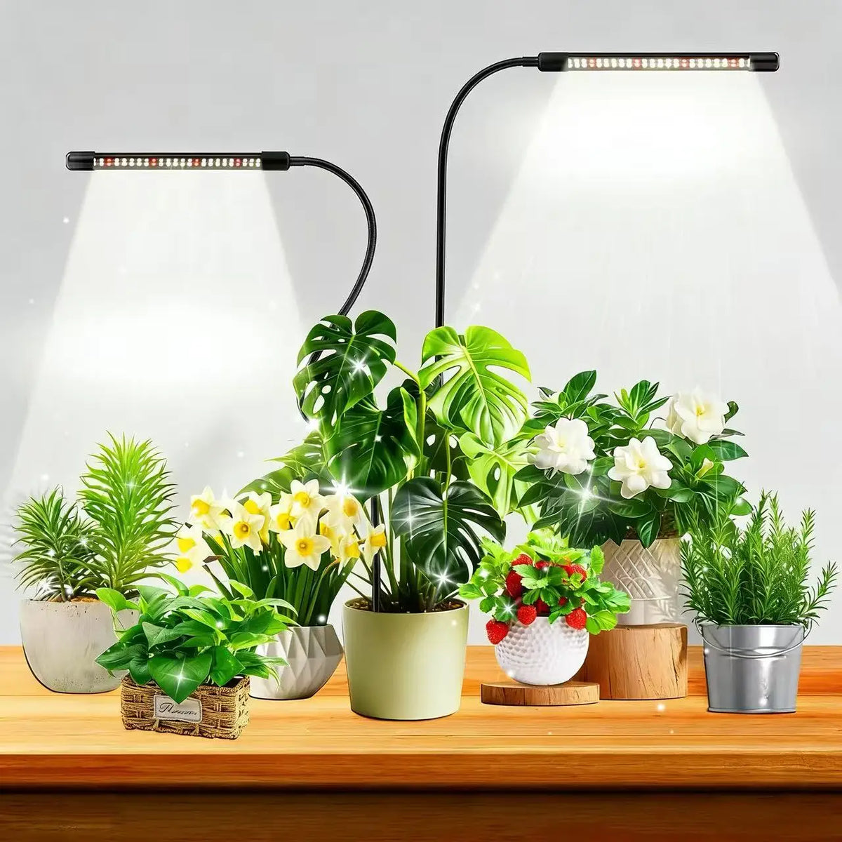 Dumiloo 48 LED Spectrum Grow Light With Timer