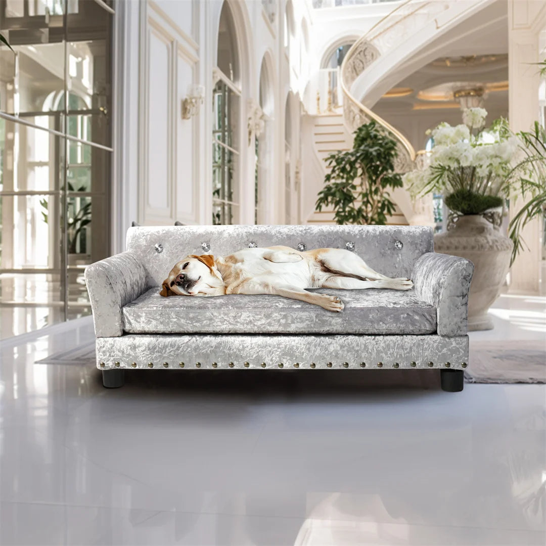 Bingopaw Deluxe Velvet Pet Sofa With Removable Cushion For Dogs