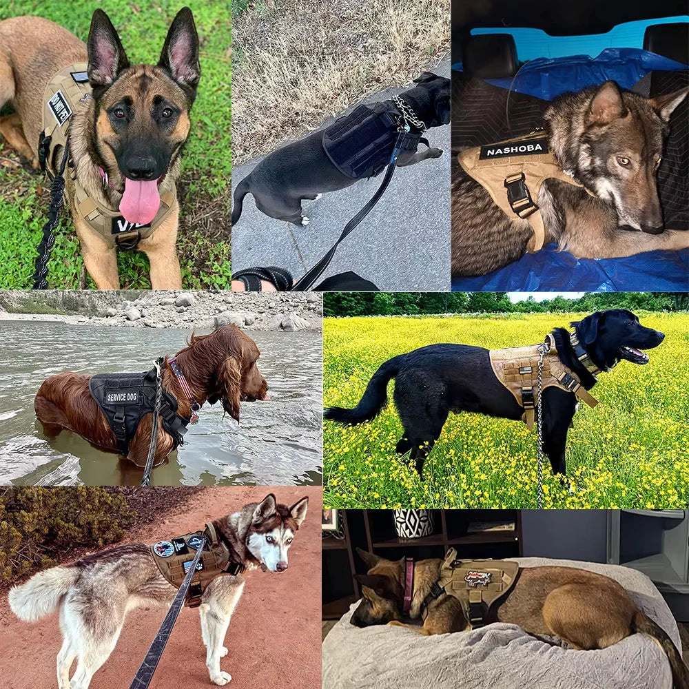 Adjustable Tactical Dog Harness Collar Leash Set For Training